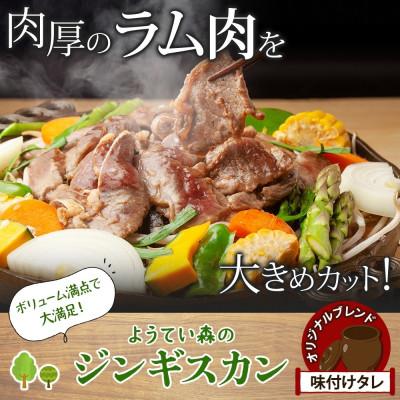 ふるさと納税 倶知安町 ようてい森の BBQ セット ジンギスカン 300g ウィンナー 4種 詰め合わせ 北海道 倶知安町 |  | 01