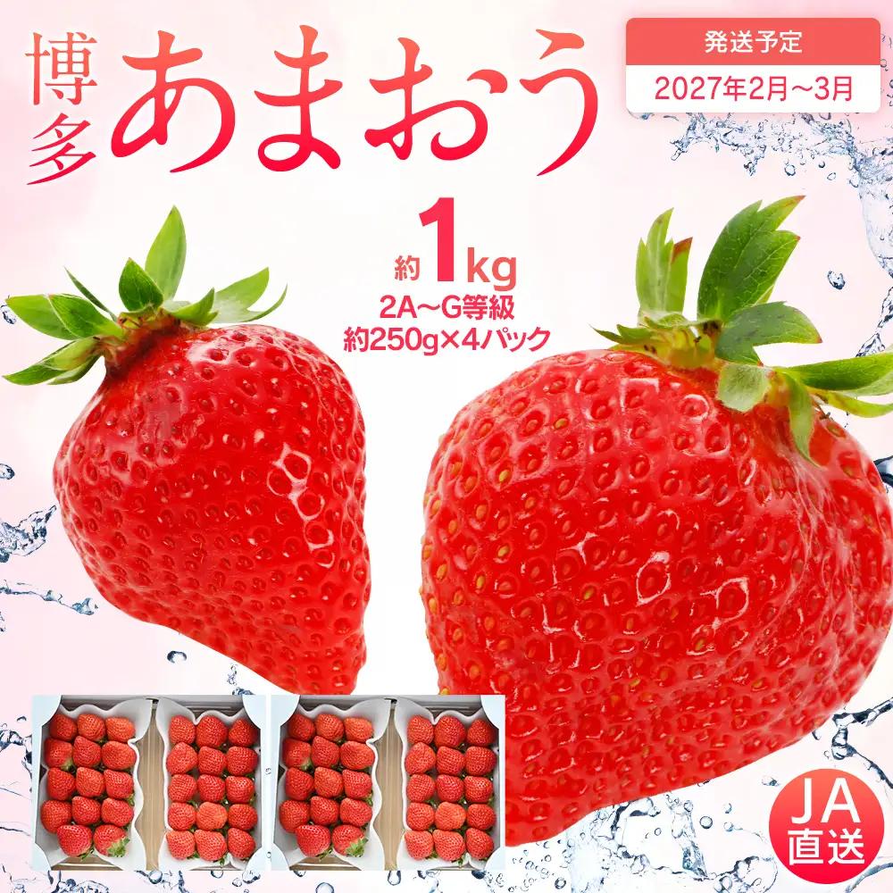 先行予約いちご あまおう 合計約1kg 約250g×4パック【2027年2月～3月順次発送予定】いちご