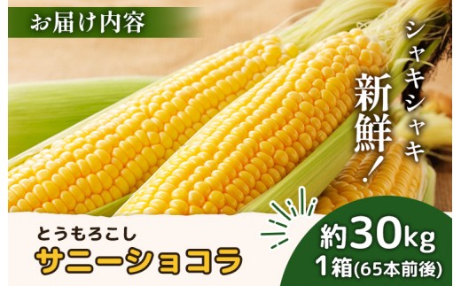 【2027年度発送分】上原農場直送 有機栽培とうもろこし (サニーショコラ) 約30kg 約65本前後