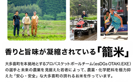 J05902 【新米】令和７年産 コシヒカリ22kg（玄米） / 米 こめ コメ 玄米 こしひかり コシヒカリ 籠米 バスケットボール esDGs OTAKI.EXE 大多喜町 千葉県