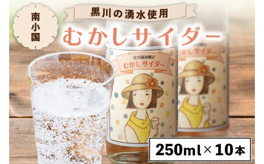 黒川温泉の湧水を使用 むかしサイダー 10本セット 250ml 10本 湧水 黒川温泉 サイダー 地サイダー ご当地 瓶 レトロ 飲料 ジュース セット ギフト 贈答用 お中元 熊本 南小国町 送料無料