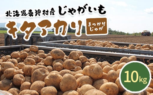 甘くてホクホク！太陽の光をたっぷりと浴びた　北海道真狩村産じゃがいも　キタアカリ「まっかりじゃが」10kg【2024年産】【0114501】