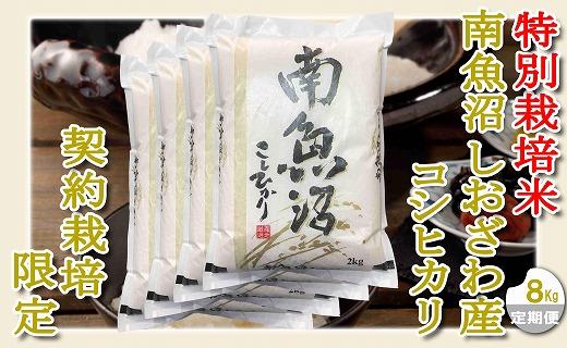 【令和7年産】【定期配送８Kg×３ヶ月】特別栽培 生産者限定  南魚沼しおざわ産コシヒカリ【2025年10月上旬より順次発送予定】