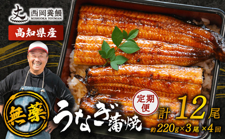 【 うなぎの蒲焼き 】 うなぎの蒲焼 定期便 計12尾 ( 220g × 3尾 × 4回 )