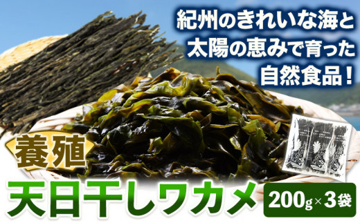 天日干しワカメ(養殖) 約600g 約200g×3袋 株式会社はし長 《30日以内に出荷予定(土日祝除く)》 和歌山県 日高川町 わかめ ワカメ 海藻 味噌汁