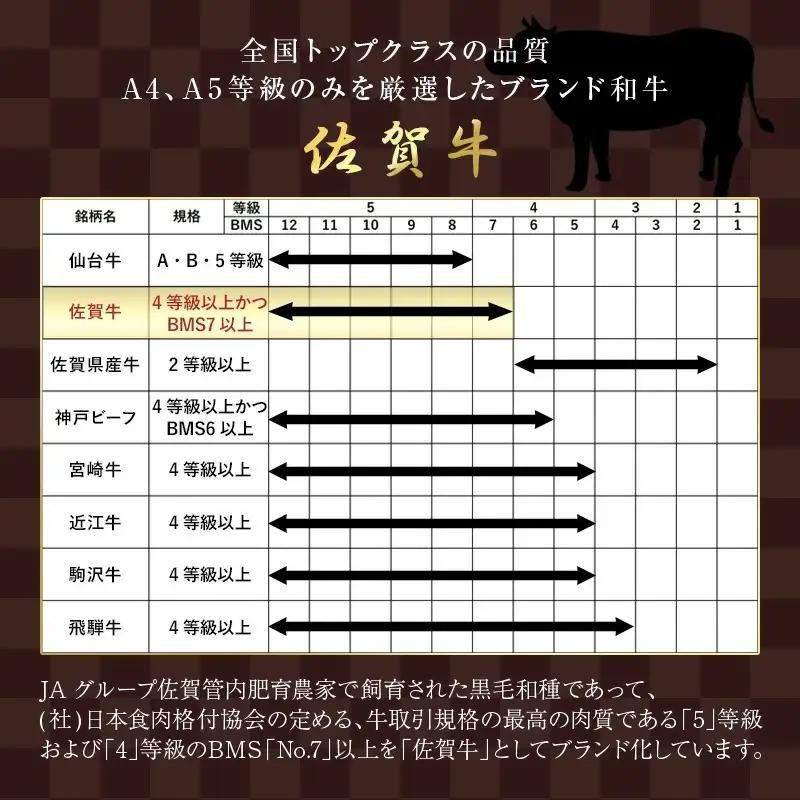 佐賀牛 サーロインステーキ250g×2枚(合計500g) 和牛 ご褒美に ギフト用 2人前 A5~A4等級 霜降り牛肉