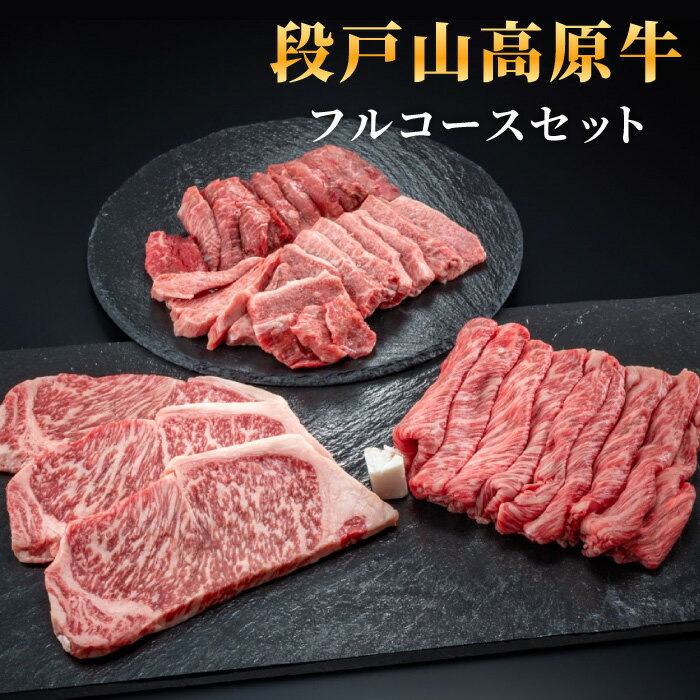 【ふるさと納税】段戸山高原牛 フルコースセット： 愛知県 設楽町 -050