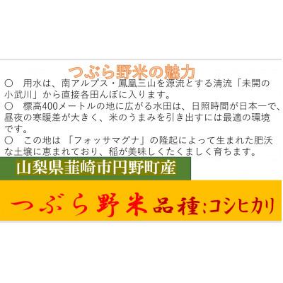 ふるさと納税 韮崎市 【毎月定期便】つぶら野米(品種:コシヒカリ) 白米3kg 定期8ヶ月(計24kg)全8回 |  | 01