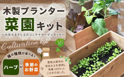 095-715-K 木製プランター菜園キット～元気なタネと土のコンテナガーデンキット～季節のお野菜 ガーデニング