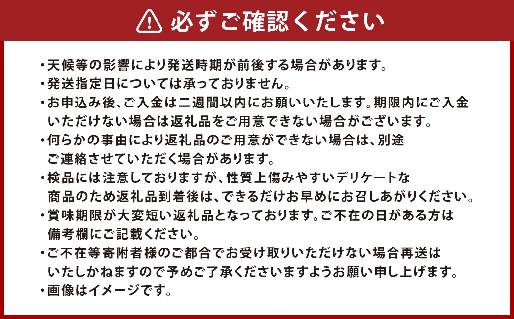 晴王つる付きシャインマスカット2房ハウス栽培