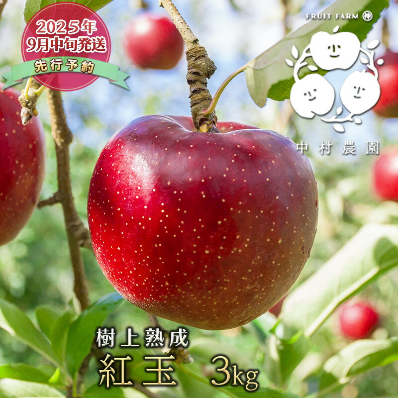 【ふるさと納税】先行予約 りんご 3kg 樹上熟成 紅玉 林檎 リンゴ 果物 くだもの フルーツ 旬の果物 旬のフルーツ 季節の果物 季節のフルーツ 美味しい果物 長野県産 長野県産りんご 紅玉リンゴ 信州 長野 長野県 長野市　お届け：2025年9月下旬～10月末