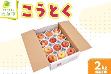りんご こうとく 2kg  山形 果物 フルーツ リンゴ
