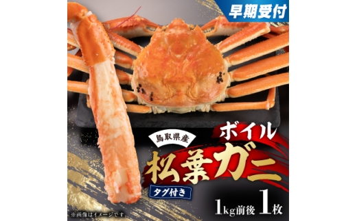 早期受付　鳥取県産タグ付きボイル松葉ガニLL　1枚＜2026/10/31までのお申し込み分＞【1536365】