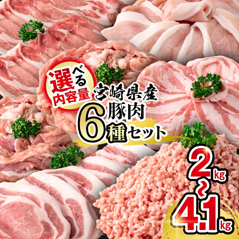 【ふるさと納税】宮崎県産豚肉6種バラエティセット　選べる内容量（2kg・3kg・4.1kg）「数量限定」 宮崎県 西都市 国産 小分け YA