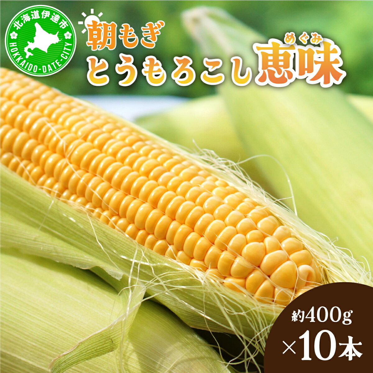 【ふるさと納税】＜2026年先行予約＞北海道産 朝もぎ とうもろこし 恵味 L-LLサイズ 約400g×10本 スイートコーン ゴールドコーン トウモロコシ とうきび コーン 旬 完熟 野菜 甘い おやつ 産地直送 お取り寄せ 北海道 藤川農園 送料無料 伊達 55250480