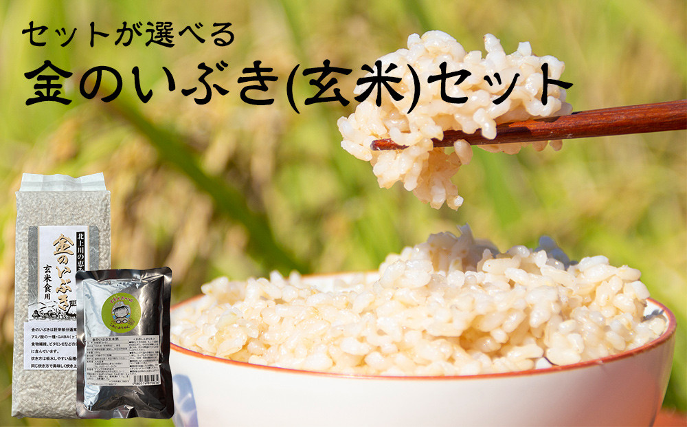 
玄米 宮城県産 金のいぶきセット 玄米（令和5年産）/お粥 おかゆ レトルトセットが選べる ヨシ腐葉土 宮城県 石巻市 げんまい 玄米粥 常温保存 お米 ごはん
