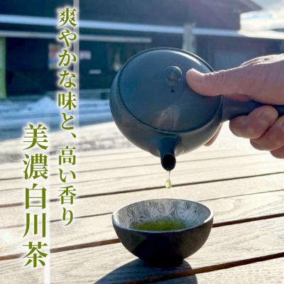 ふるさと納税 東白川村 香り高い高級煎茶 「天籟-てんらい-」 80g |  | 01