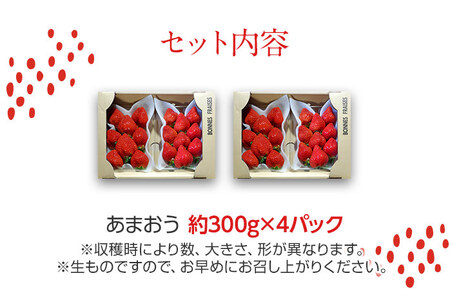 荒巻エコタロウ農園のあまおう約300g×4パック(約1200g)　【2026年1月〜3月】　BJ04