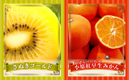 とれたて果物 3回定期便C |果物 フルーツ 果物定期便 フルーツ定期便 定期便 いちご キウイみかん 濃厚 旬の果物 定期 人気 おすすめ 贈答 贈り物 青果物 糖度 香川県 |_mk165-t06