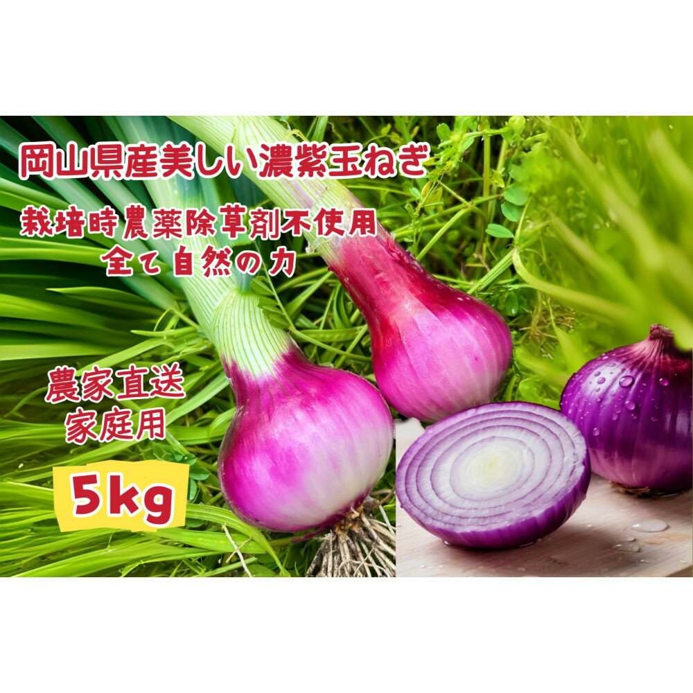 【ふるさと納税】甘すぎ新鮮岡山市産 赤紫玉ねぎ5kg家庭用 減化学肥料 タマネギ 生食 健康 野菜 食品 栽培期間中農薬・除草剤不使用自然の力健康野菜 訳あり（サイズ混合) | 野菜 やさい 食品 人気 おすすめ 送料無料