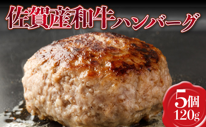 【佐賀産和牛】ハンバーグ 120g×5個 B-976