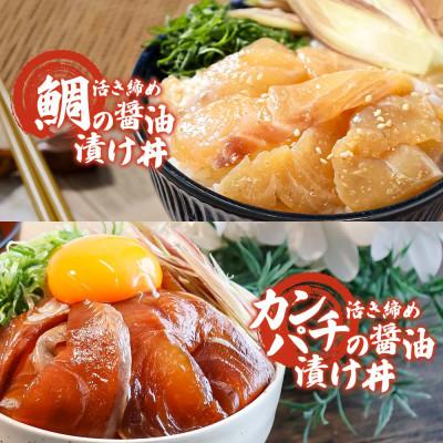 ふるさと納税 土佐市 【訳あり】海鮮漬け丼 (タイ3袋・カンパチ2袋) 合計5袋セット 海鮮丼の具 |  | 02