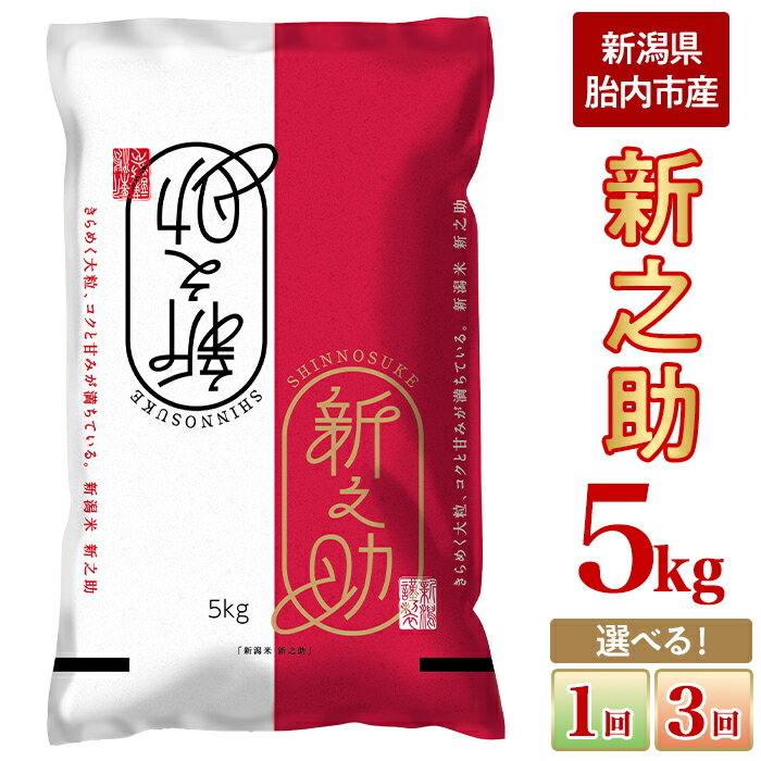 【ふるさと納税】新米 令和7年産 新之助 5kg 米 定期便 選べる 1回 3回 3ヶ月 新潟 精米 白米 お米 新潟県胎内市産 新之助5kg（JA北新潟）