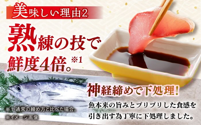 高級 鮮魚 セット 詰め合わせ 冷蔵 おまかせ お楽しみ 旬 刺身 九州 長崎