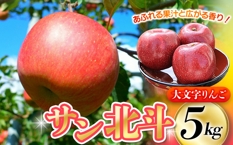 【令和6年度分予約受付】大文字りんご園 サン北斗 約5kg (18～20玉) 【2024年10月中旬頃より順次発送】/ 樹上完熟 りんご リンゴ 林檎 果物 くだもの フルーツ 甘い 旬 産地直送 予約 先行予約【dma513-sh-5】