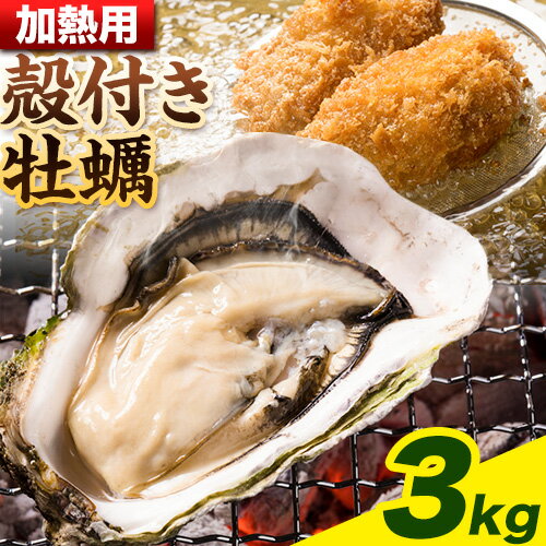【ふるさと納税】【2026年先行予約】殻付き牡蠣 ( 加熱用 ) 3kg まからずやストアー《2026年2月上旬-3月上旬頃出荷》岡山県 浅口市 牡蠣 加熱 殻付き かき カキ 海産物 貝【離島のみ配送不可】