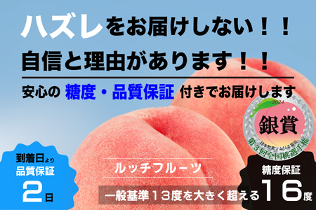 【糖度16度保証付】一宮の大玉桃 3玉 約1.1kg　全国桃選手権『銀賞』受賞桃 FN-Limited 104-067-FN | ＜数量限定＞美味しいフルーツだけをお届けします【ルッチ Rucci】産地直送 山梨県 笛吹市 糖度 品質 保証 ジューシー 桃 もも ピーチ 新鮮 旬 くだもの 果物 フルーツ 人気 ランキング リピート 高評価 ギフト 贈答 贈り物 化粧箱 期間限定