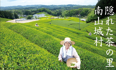 むらちゃ PETボトル 350ml×48本 緑茶 ペットボトル お茶 かぶせ茶 抹茶 飲料 飲み物 ドリンク 水分補給 南山城村 京都府