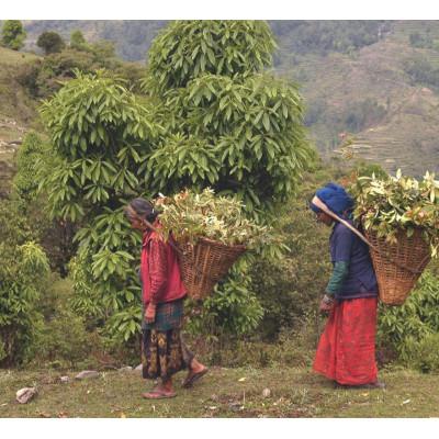 ふるさと納税 奥州市 お米でできたアウトドアスプレー パルマローザ [D0007] |  | 02