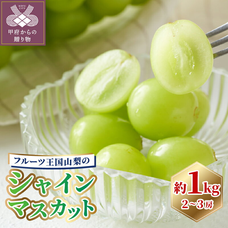 【ふるさと納税】 先行予約 シャインマスカット 山梨県産 甲府市産 ぶどう フルーツ 果物 2~3房 冷蔵 1kg 1箱 1kg以上 厳選 種なし 皮ごと 甘い フルーツ王国 山梨 数量限定 期間限定 2026年8月下旬～9月下旬頃順次発送 k305-001
