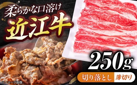 近江牛切り落とし(薄切り)250g BIBE052 近江牛