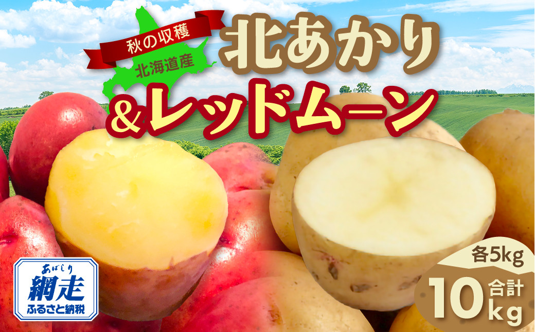 
            【先行予約】秋の収穫北あかり、レッドムーン合計10kg（2025年9月15日以降発送） 【 ふるさと納税 人気 おすすめ ランキング じゃがいも ジャガイモ 芋 いも イモ 男爵 男爵いも たまねぎ 玉ねぎ 玉葱 かぼちゃ 南瓜 野菜 セット 詰め合わせ 詰合せ 北海道 網走市 送料無料 】 ABAO085
          