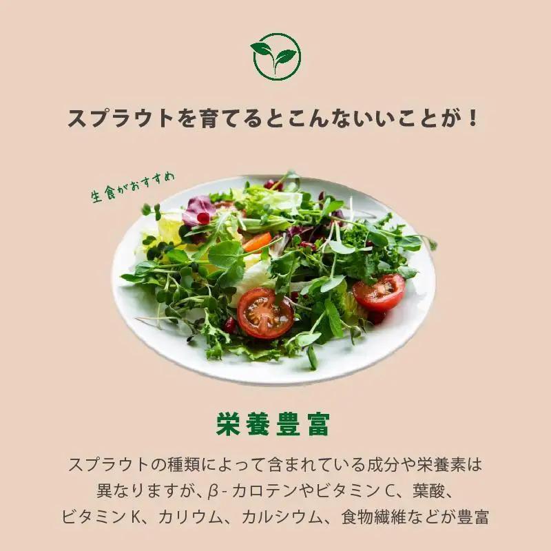 【アイボリー】ベジマジそだてる スプラウト栽培容器 種付き 水耕栽培 おしゃれ 家庭菜園