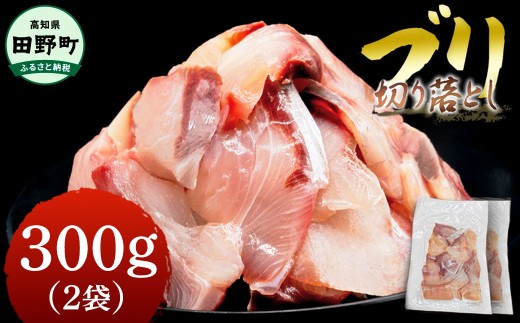 ぶり 訳あり 切り落とし 約300g 約150g×2パック ブリしゃぶ 鰤 刺身 年末年始 ぶり 刺身 ブリしゃぶ ぶり たたき ブリ 切り身 冷凍 魚 魚介 国産 おかず お弁当 料理 ご飯 惣菜 しゃぶしゃぶ 照り焼き 正月 ブリ刺身 刺し身 便利 たっぷり おいしい 高知県 田野町 海鮮丼 7000円