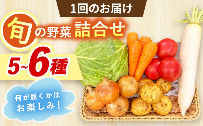【全6回定期便】採れたてお野菜おまかせセット（5～6種）/ 野菜 やさい 野菜セット 野菜詰め合わせ 詰め合わせ セット / 大村市 / かとりストアー [ACAN127]