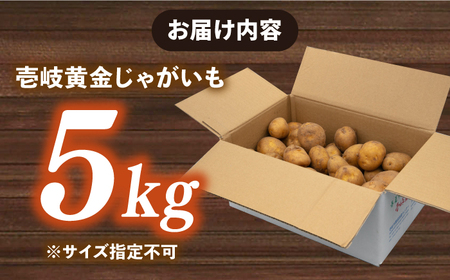 【2月中旬以降順次発送】壱岐黄金じゃがいも 5kg 《壱岐市》【壱岐市農業協同組合】 じゃがいも ジャガイモ ポテト 野菜 季節の野菜 夏野菜 冬野菜[JBO139]