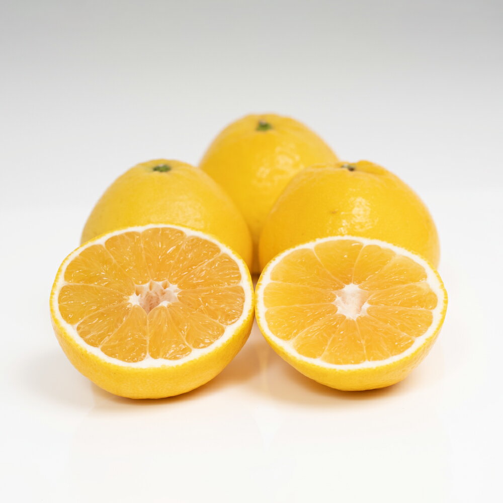 【ふるさと納税】【訳あり】 河内晩柑〈選べる〉約5kg or 約10kg みかん 蜜柑 果物 フルーツ 柑橘 デザート おやつ お取り寄せ 国産 愛媛県 送料無料【2026年4月下旬～5月下旬発送予定】【えひめの町（超）推し！（愛南町）】(569-1)(570)