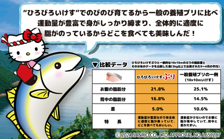 【先行予約】ひろびろいけすぶり(フィレ・片身)1枚 ※12月発送 | ぶり 刺身 津久見市