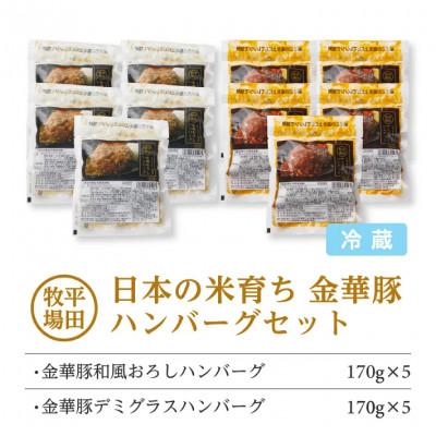 ふるさと納税 酒田市 【平田牧場】日本の米育ち◆金華豚 ハンバーグ2種セット　計10個(和風おろし、デミグラス 各5個) |  | 01