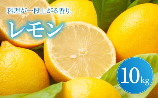 イエロー レモン 家庭用 10kg 【2027年1月中旬頃から順次発送】 | れもん レモン lemon 檸檬 訳あり フルーツ 柑橘 果物 おすすめ お勧め お取り寄せ ギフト 愛媛県 松山市