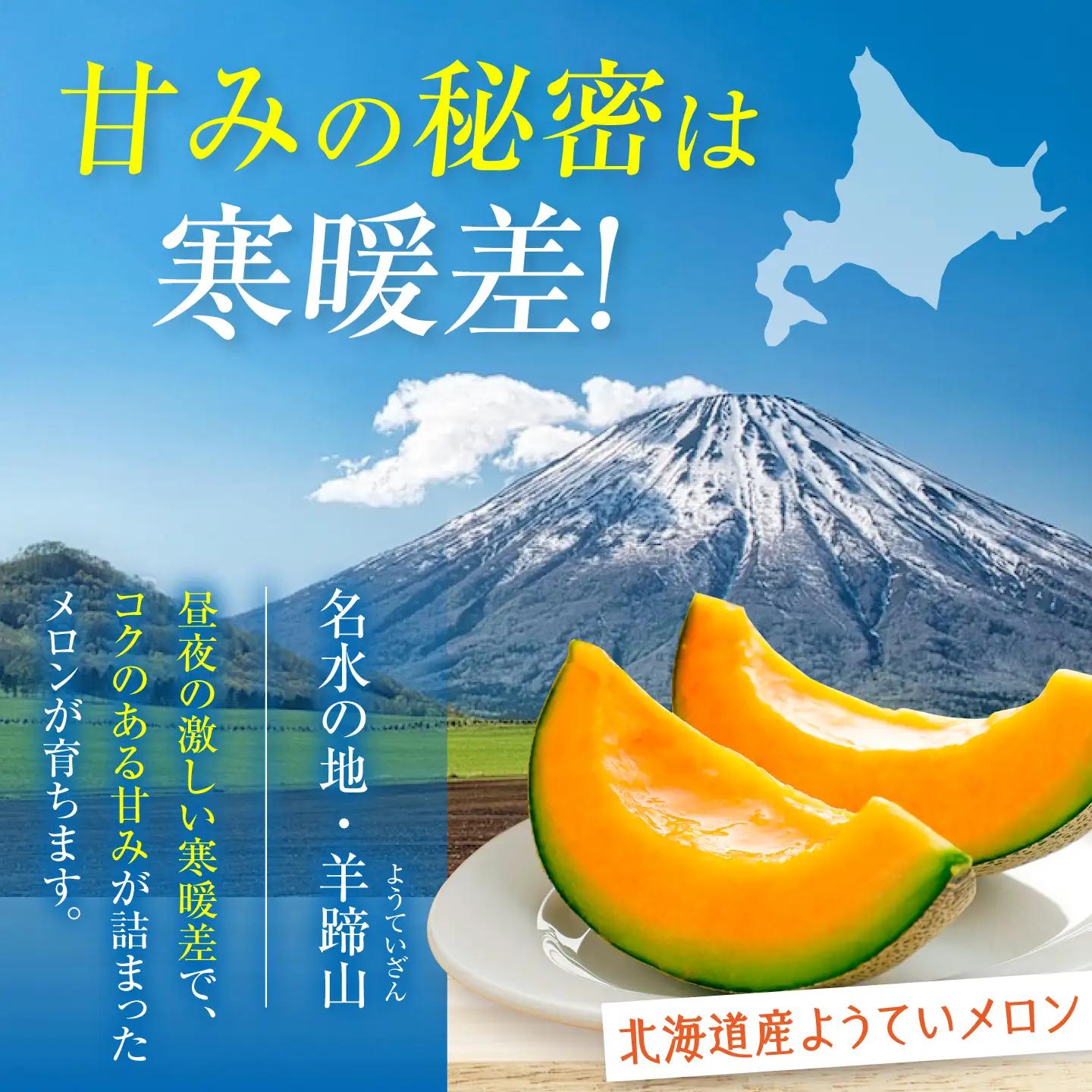 メロン 赤肉2玉 [AJAK004] メロン 北海道