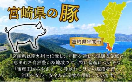 <2025年12月発送分>宮崎県産豚バラエティー2.1kgセット
