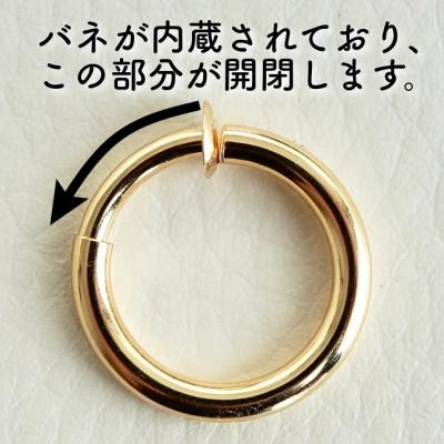 ふるさと納税 昭和町 K18 イエローゴールド ピアスに見える地金イヤリング(直径10mm) 保証書付 KO-0013 |  | 02