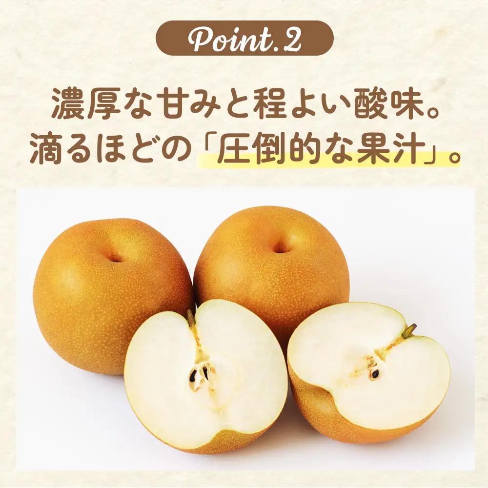 【ふるなびWEEK対象】【先行予約】梨(にっこり) 4玉～7玉入り×1箱 (4.5kg以上) ※2026年10月上旬～11月下旬頃に順次発送予定