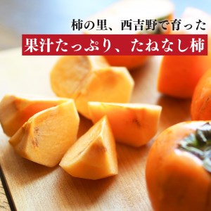 たねなし柿　わけあり！（約7kg）※着日指定不可≪訳アリ 訳あり 家庭用 ご家庭用 奈良 お歳暮 秋 味覚≫