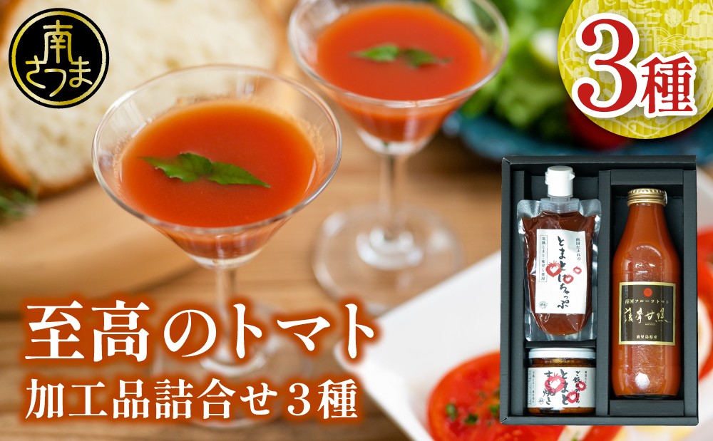 
            至高のトマト加工品詰合せ ［3種類］ 南国 フルーツトマト100%使用 薩摩甘照 さつまあまてらす トマトジュース トマトケチャップ 濃厚 コク 甘み 天然素材 とまと 野菜 飲料 ドリンク ギフト 贈り物 贈答用 化粧箱入り 高槻電器工業 南さつま市
          